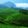 Munnar-hill-station