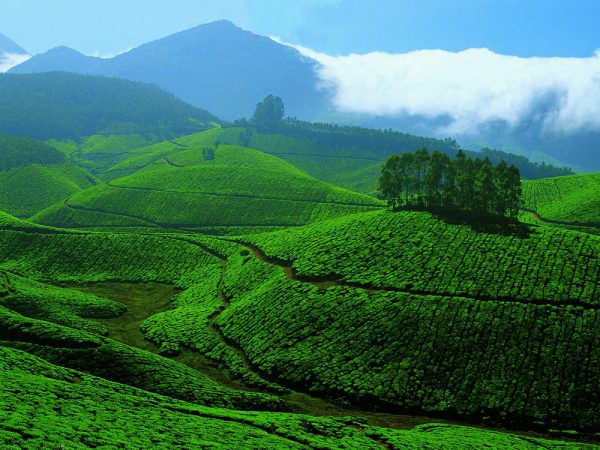 Munnar-hill-station