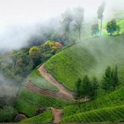 munnar