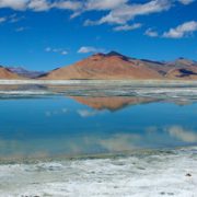 tsokar-lake-ladakh