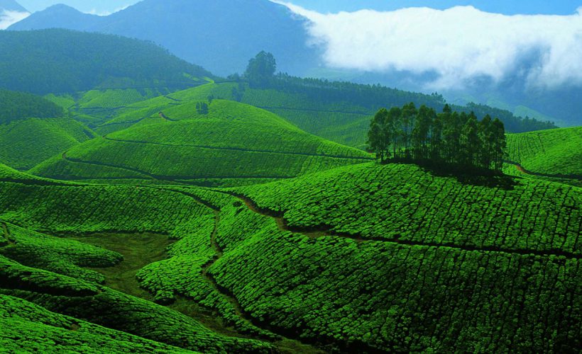 Munnar-hill-station