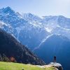 Tripver-triund-Edge