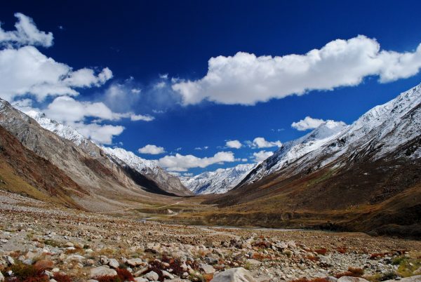 Zanskar-Suru-282-1