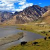Zanskar-Valley-India-17