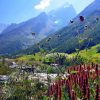valley-of-fowers-1